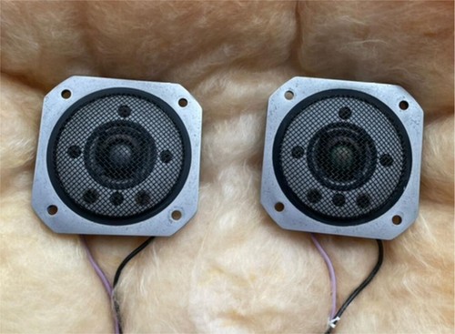 Coppia tweeter yamaha 0513 - tweeter,
