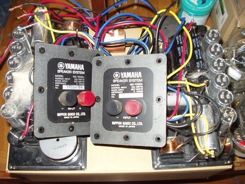 Yamaha 1000x coppia - yamaha,