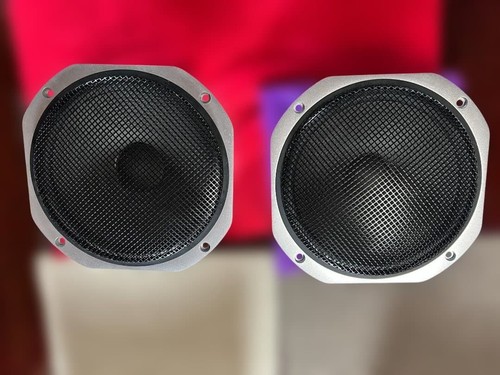 Coppia altoparlanti woofer